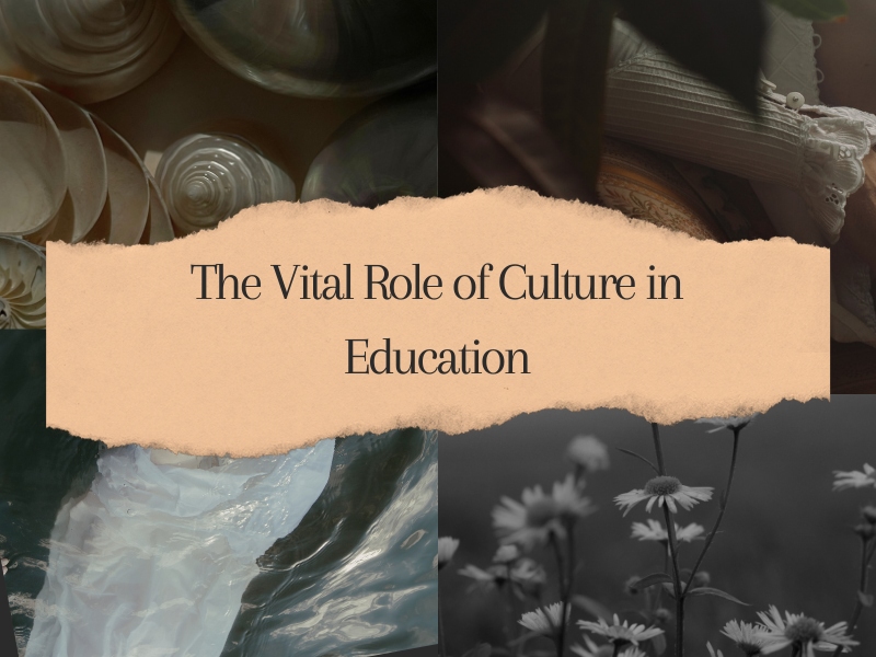 The Vital Role of Culture in Education