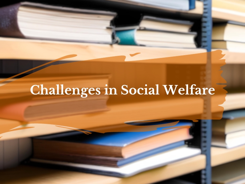 Challenges in Social Welfare